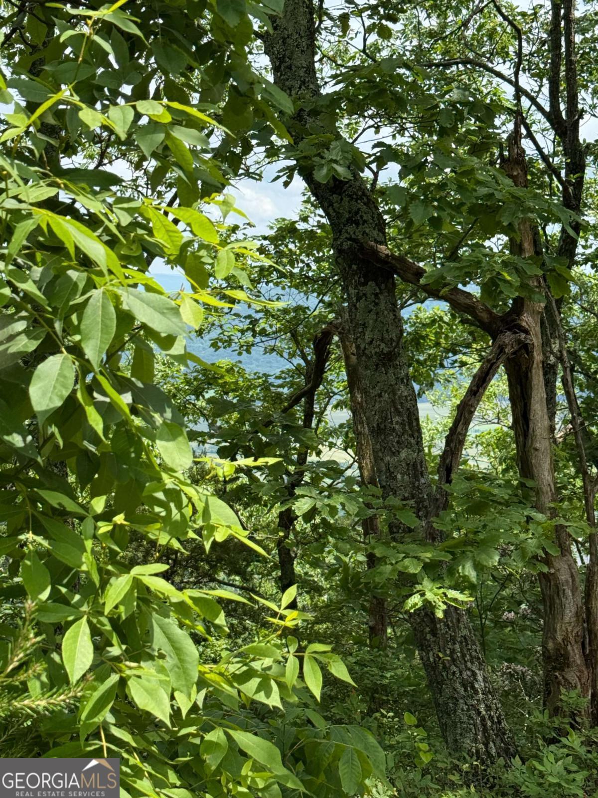 157 Hwy Menlo, GA 30731 - Photo 7 of 12 a backyard of a house