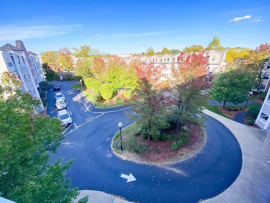 318 Rindge Avenue, Unit 405 Cambridge, MA 02140 - Photo 25 of 25 a view of a house with a yard potted plants and a fountain