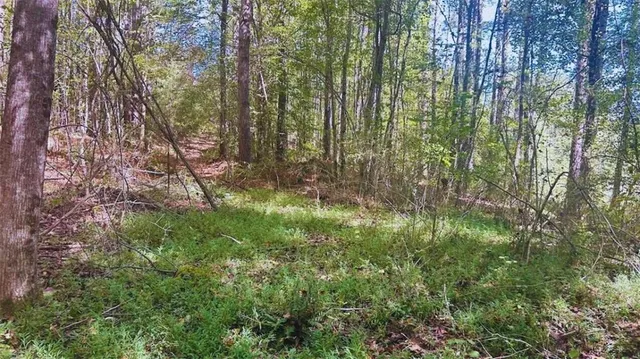 $328,000 | 0 Williamson Road, Tallapoosa, GA 30176