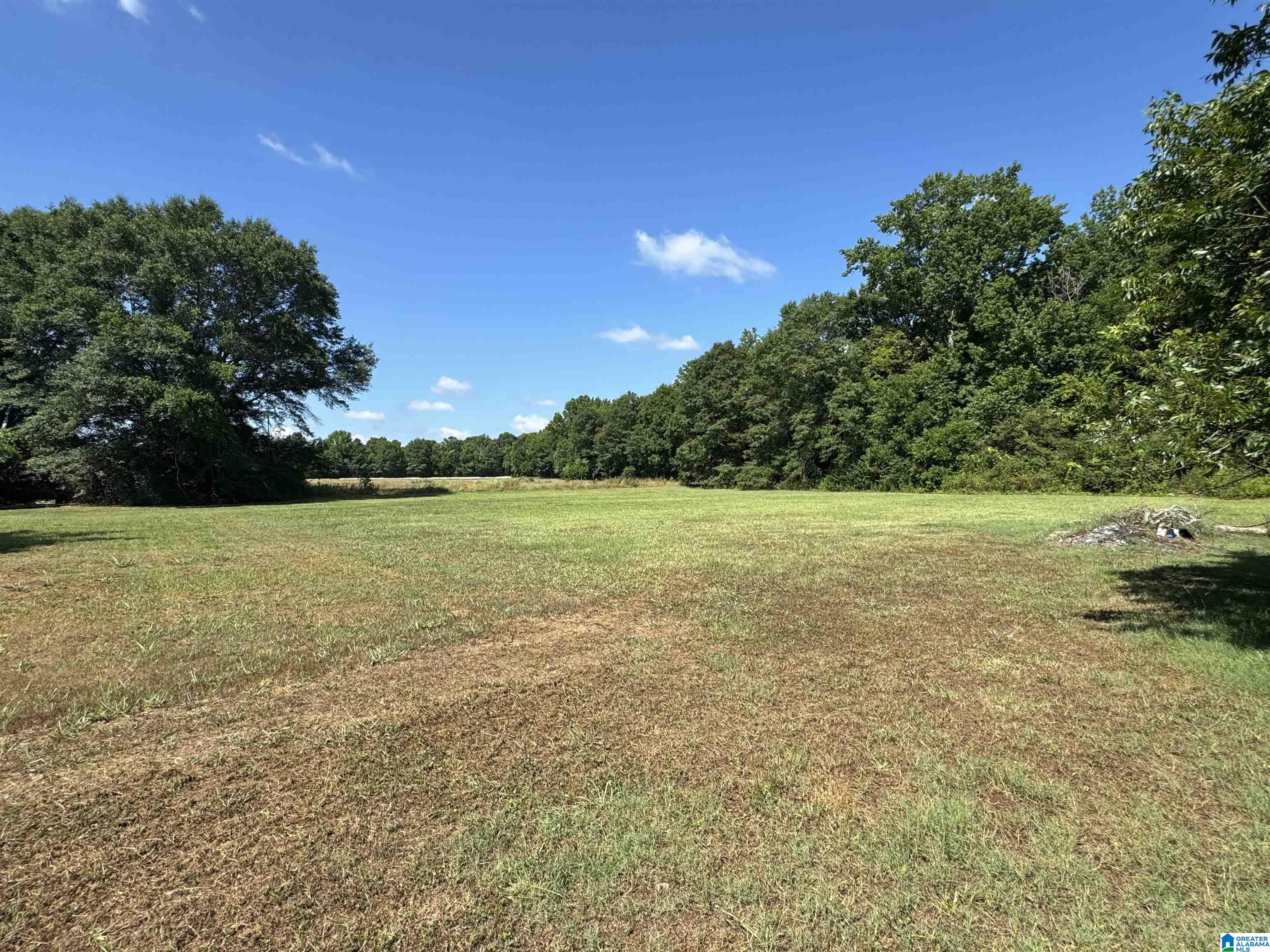 431 North Old Ladiga Road North Piedmont, AL 36272 - Photo 32 of 34