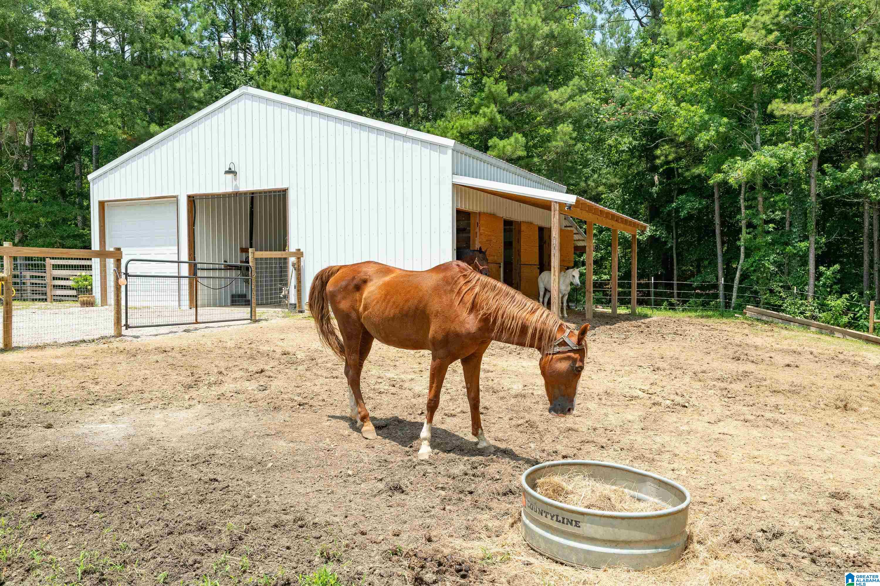340 Lake Cottage Road Sterrett, AL 35147 - Photo 68 of 83