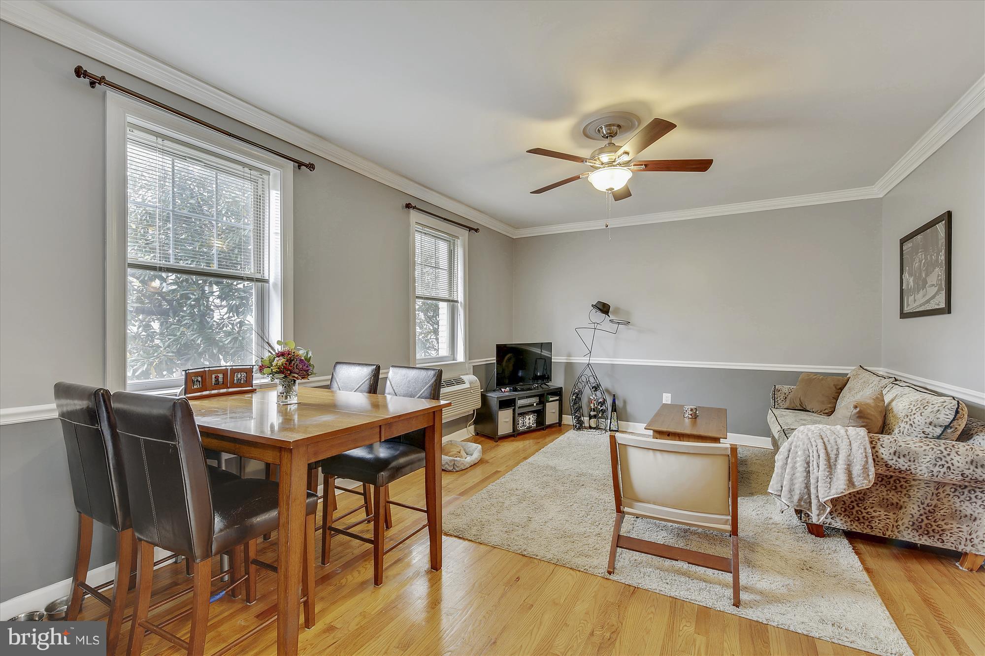 1816 Kalorama Road Northwest, Unit 302 Washington, DC 20009 - Photo 6 of 45 Amazing windows - don't miss the Magnolia Tree!