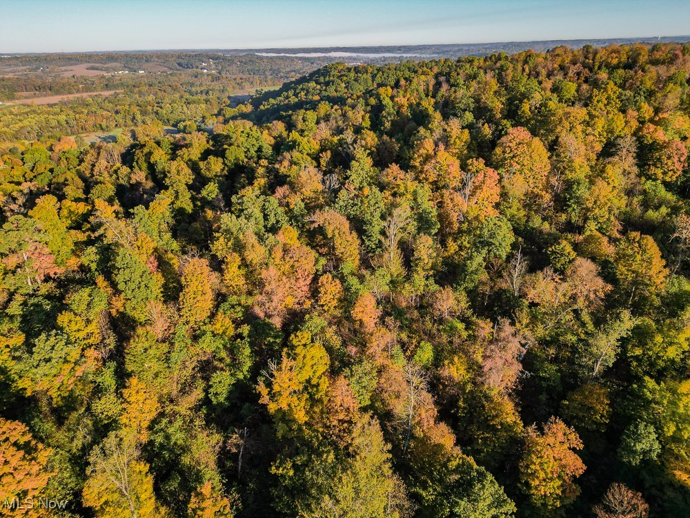 Baughman Run Road Roseville, OH 43777 - Photo 35 of 38 Drone / aerial view