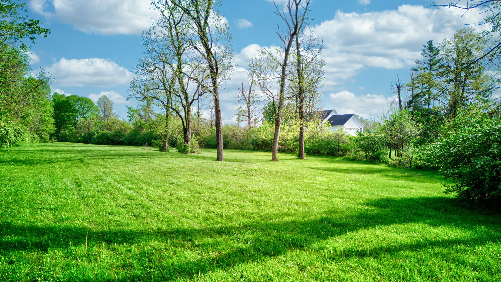 6320 Mendenhall Road Indianapolis, IN 46221 - Photo 64 of 82 Gallery Image 64
