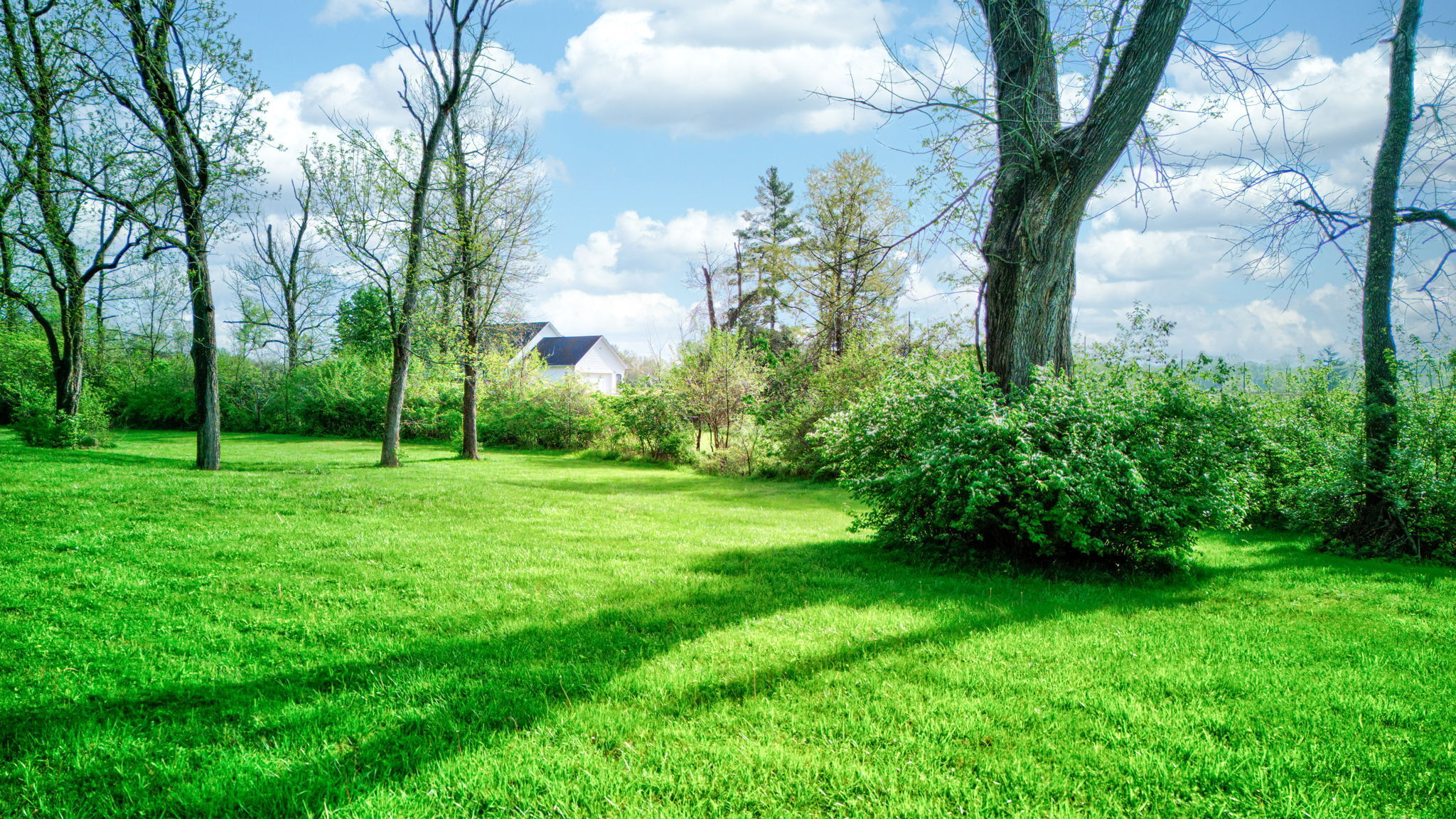 6320 Mendenhall Road Indianapolis, IN 46221 - Photo 65 of 82 Gallery Image 65