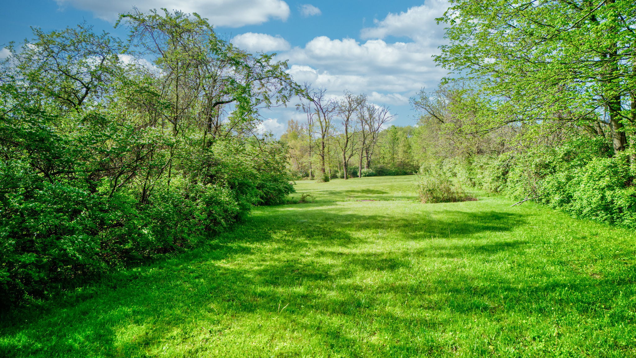 6320 Mendenhall Road Indianapolis, IN 46221 - Photo 69 of 82 Gallery Image 69