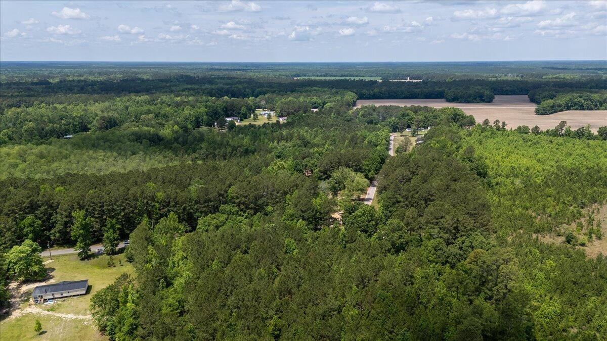 0 Deneaux Road Rowesville, SC 29133 - Photo 32 of 43 32-Deneaux-25