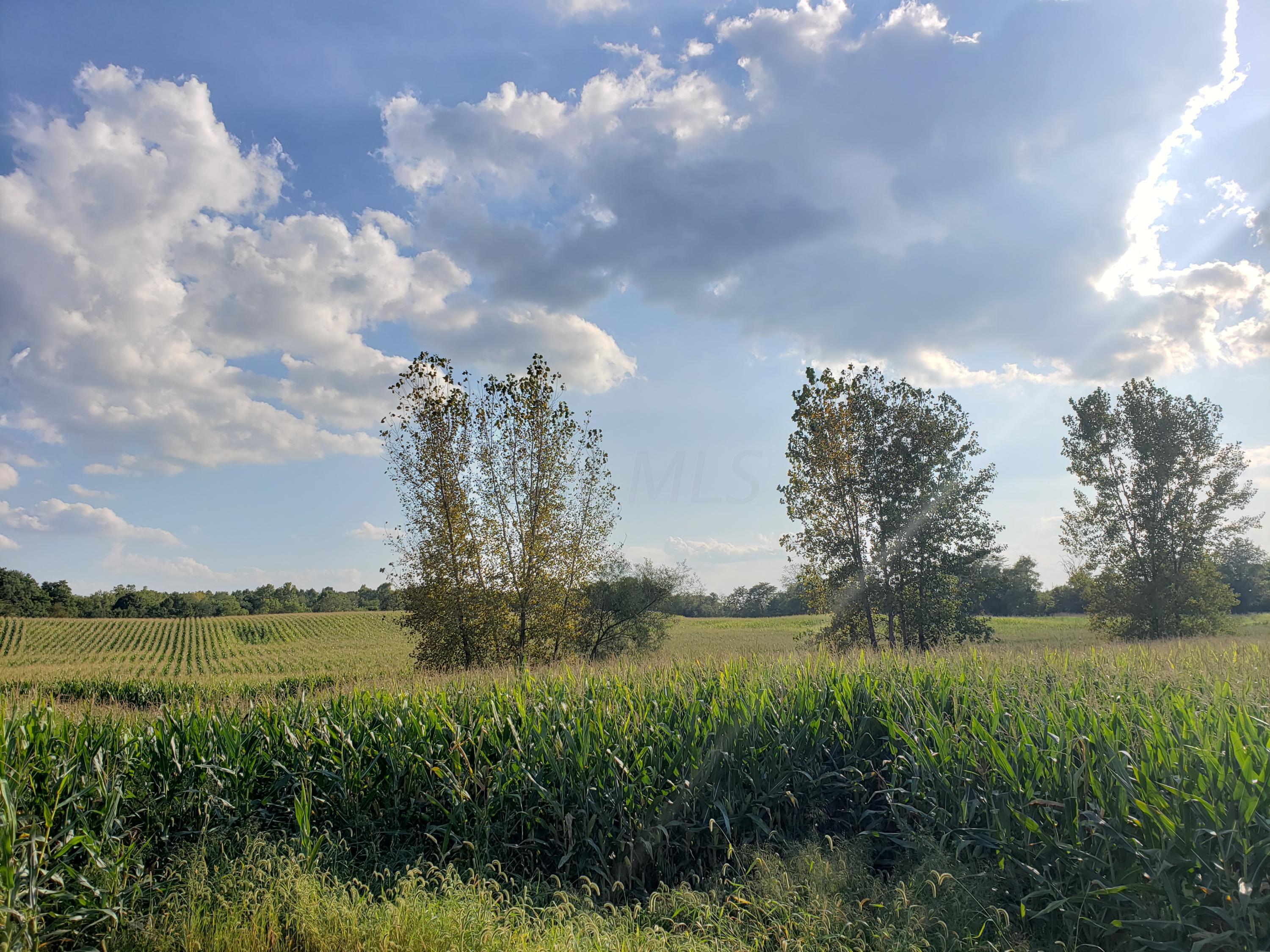 0 Lancaster-Circleville Road Southwest Lancaster, OH 43130 - Photo 4 of 12