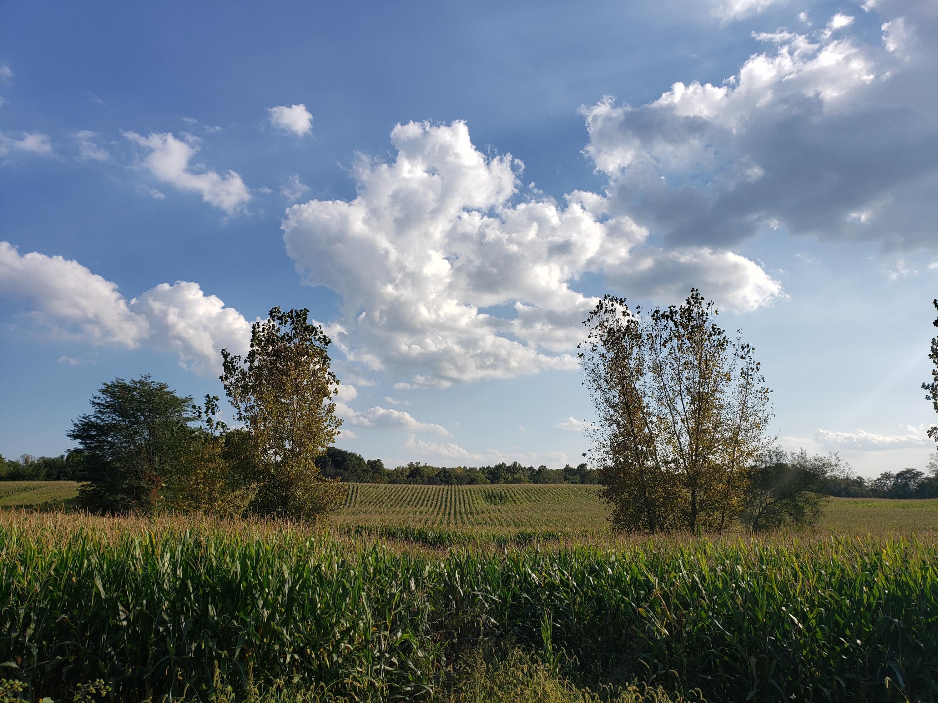 0 Lancaster-Circleville Road Southwest Lancaster, OH 43130 - Photo 5 of 12