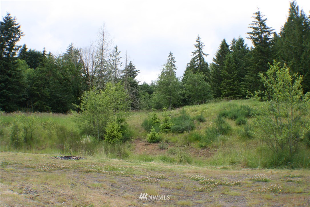 1673 Bunker Creek Road Chehalis, WA 98532 - Photo 33 of 36 Gallery Image 33
