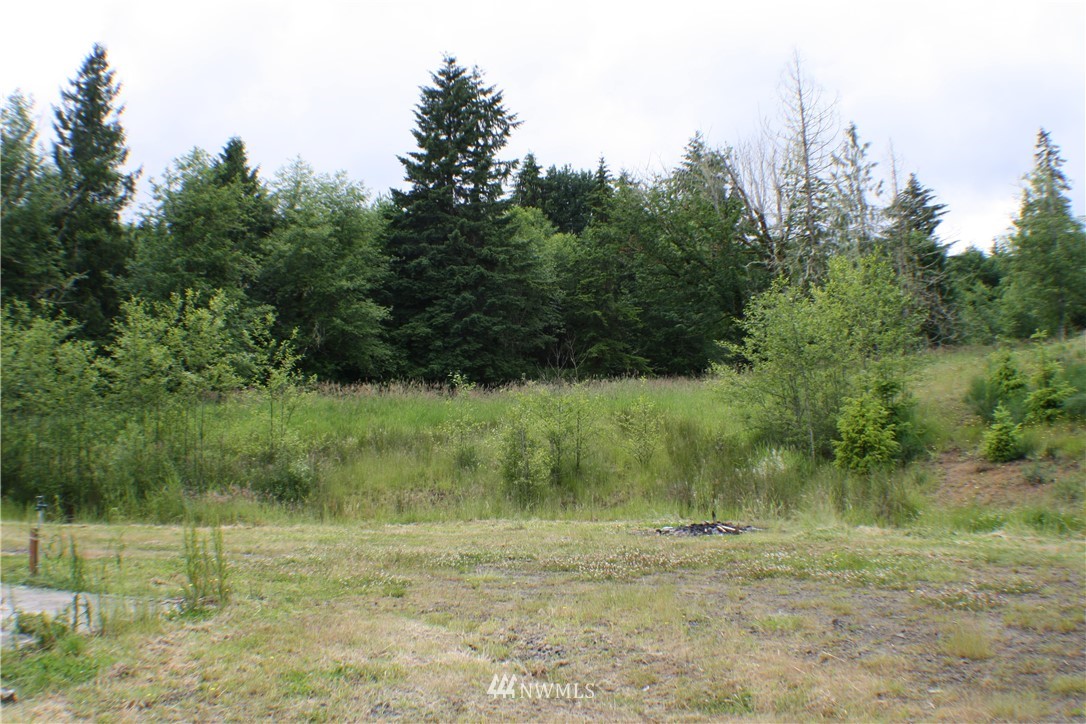 1673 Bunker Creek Road Chehalis, WA 98532 - Photo 34 of 36 Gallery Image 34