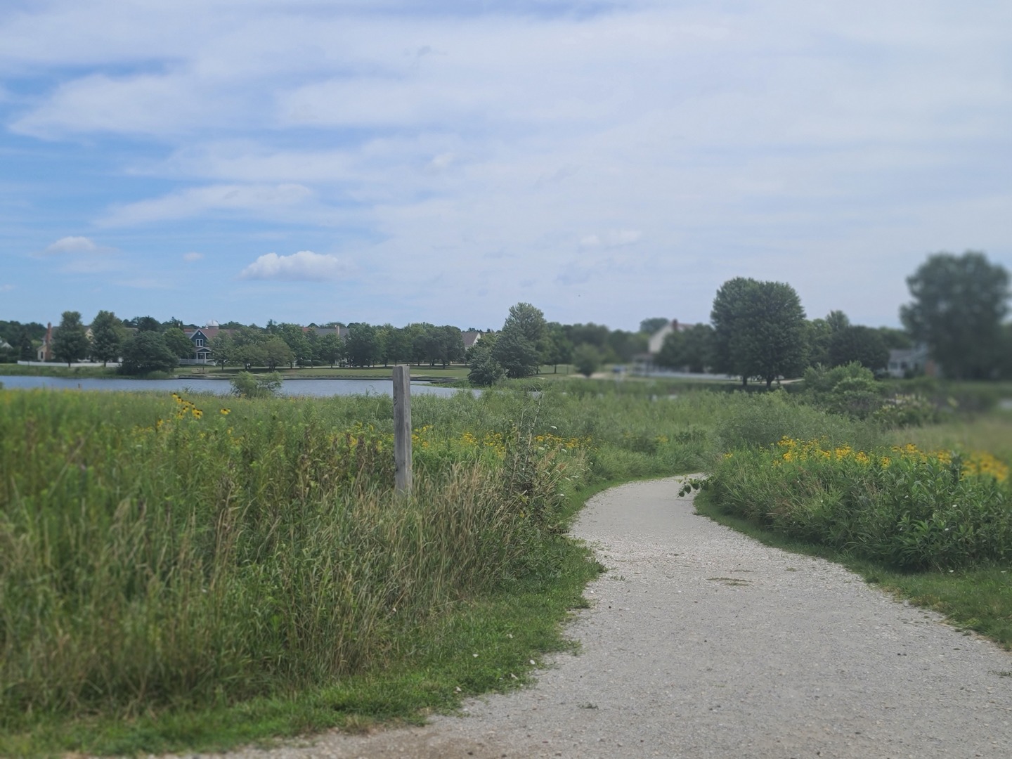 977 Harris Road, Unit 16 Grayslake, IL 60030 - Photo 27 of 41 a view of a lake with a big yard