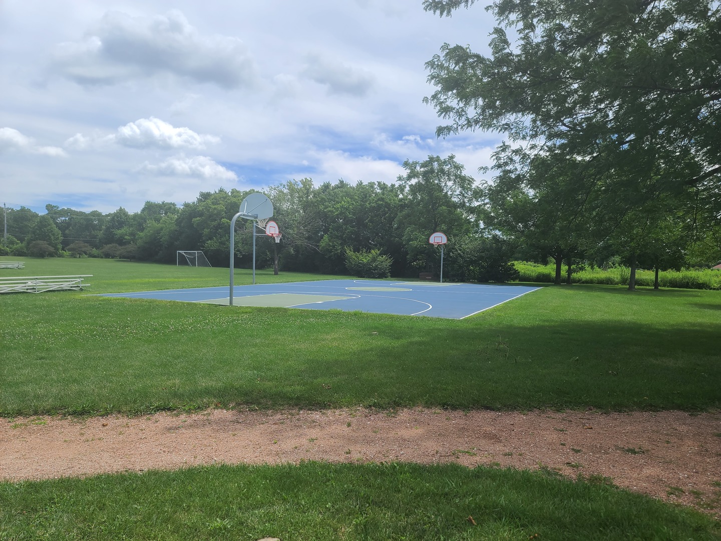 977 Harris Road, Unit 16 Grayslake, IL 60030 - Photo 41 of 41 a view of field with tall trees