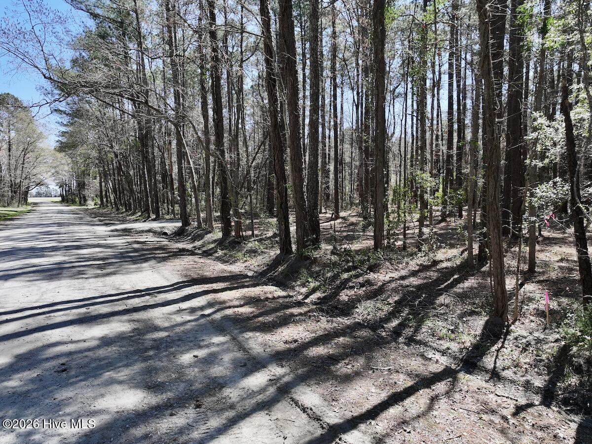 1 Creek Place Road Arapahoe, NC 28510 - Photo 21 of 28 21