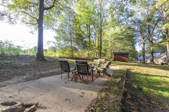 a view of a yard with large trees