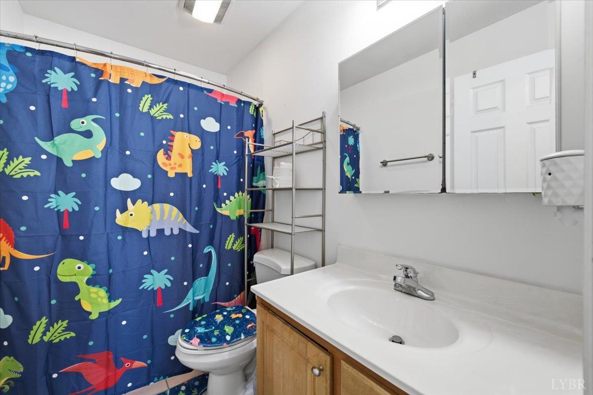 12376 Leesville Road Lynch Station, VA 24571 - Photo 21 of 38