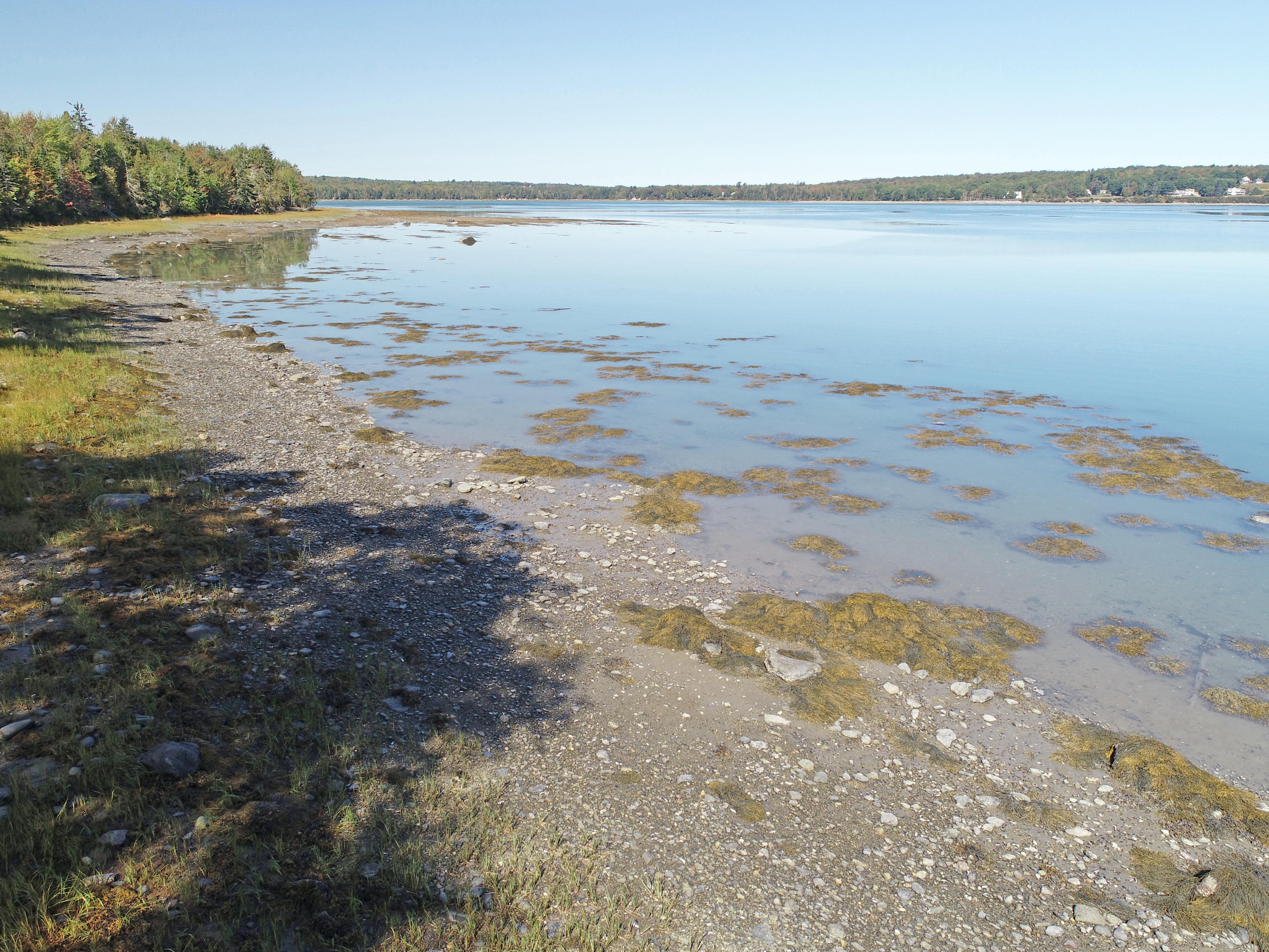 108 Bay Road Lamoine, ME 04605 - Photo 26 of 48 shore 3