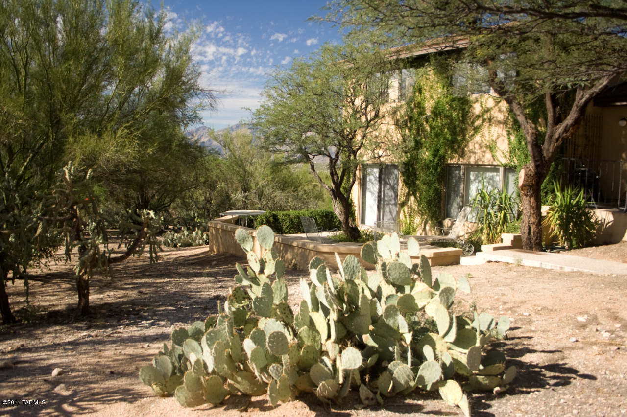 515 North Tanque Verde Loop Road Tucson, AZ 85748 - Photo 16 of 39 Gallery Image 16