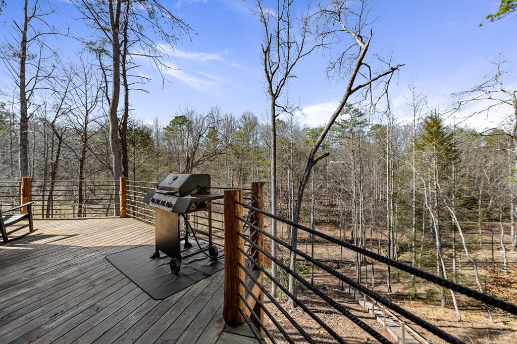 87 Lonesome Dove Trail Blue Ridge, GA 30513 - Photo 56 of 75 Gallery Image 56