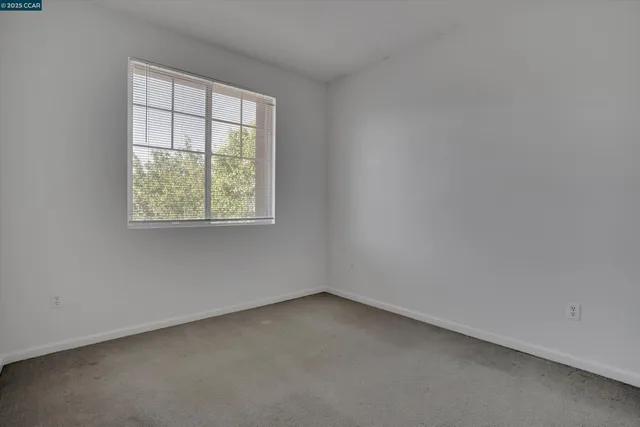 a view of a backyard with potted plants and wooden fence