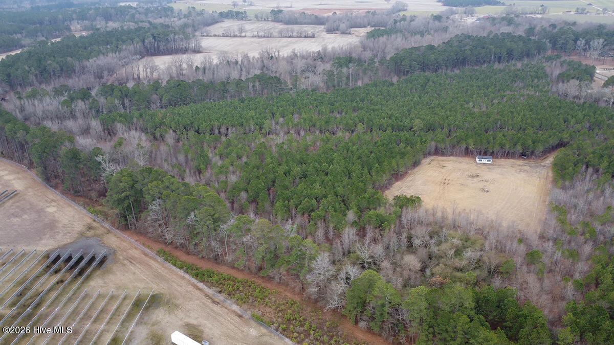 0 Morning Star Church Road Battleboro, NC 27809 - Photo 11 of 22 0112-011