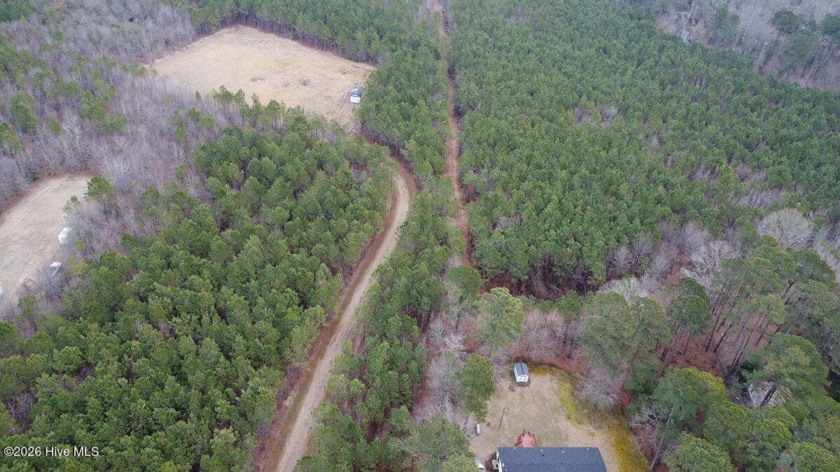 0 Morning Star Church Road Battleboro, NC 27809 - Photo 18 of 22 0112-018