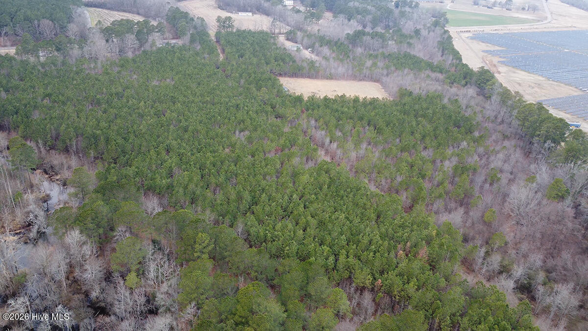 0 Morning Star Church Road Battleboro, NC 27809 - Photo 19 of 22 0112-019