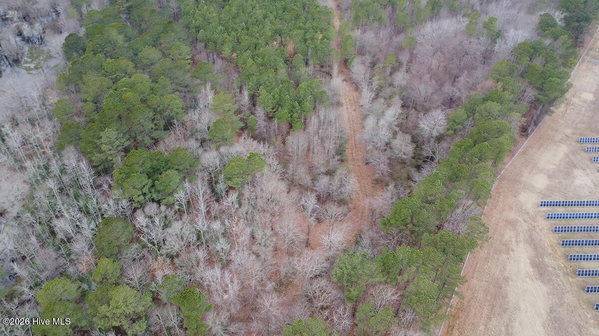 0 Morning Star Church Road Battleboro, NC 27809 - Photo 20 of 22 0112-005