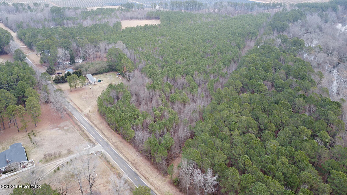 0 Morning Star Church Road Battleboro, NC 27809 - Photo 21 of 22 0112-002