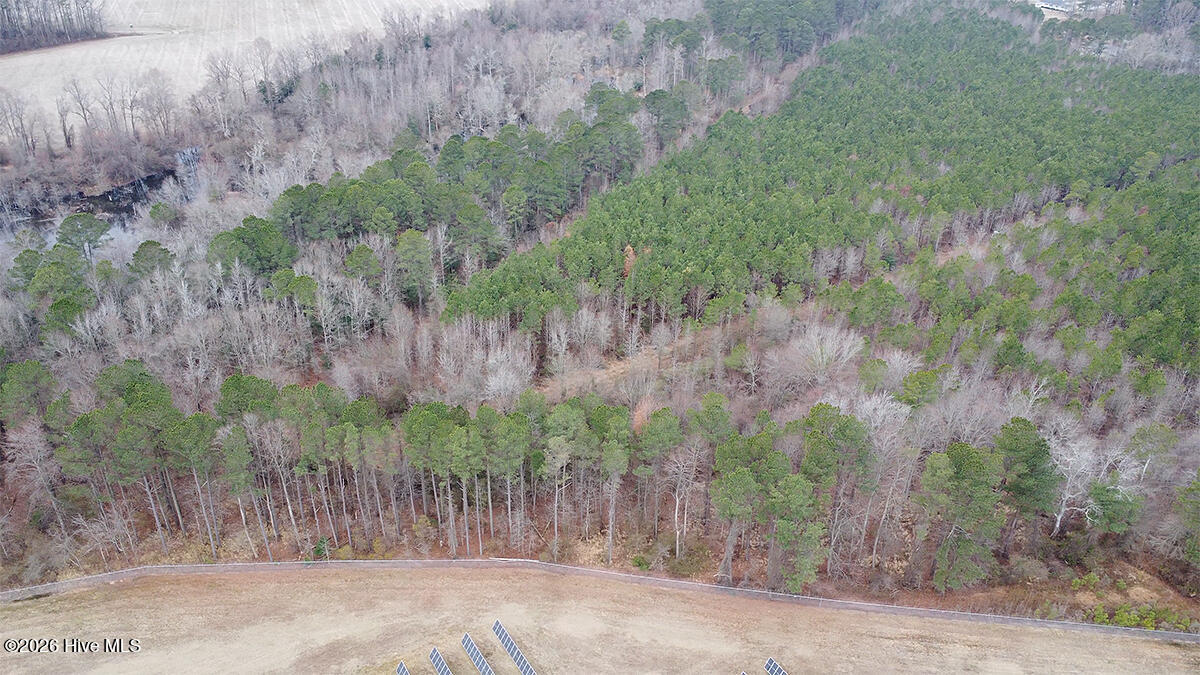 0 Morning Star Church Road Battleboro, NC 27809 - Photo 4 of 22 0112-009