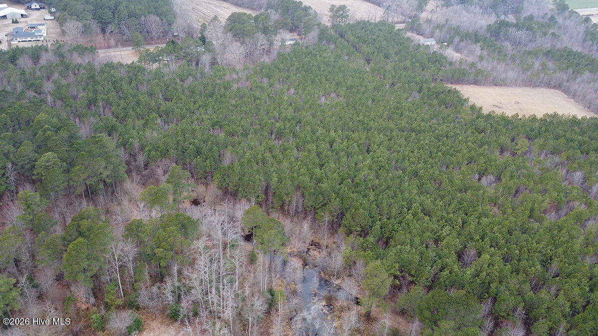 0 Morning Star Church Road Battleboro, NC 27809 - Photo 7 of 22 0112-004