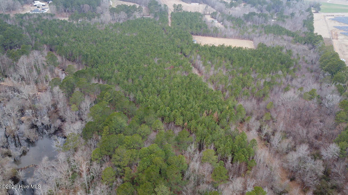 0 Morning Star Church Road Battleboro, NC 27809 - Photo 8 of 22 0112-006