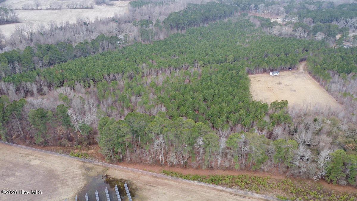 0 Morning Star Church Road Battleboro, NC 27809 - Photo 10 of 22 0112-010