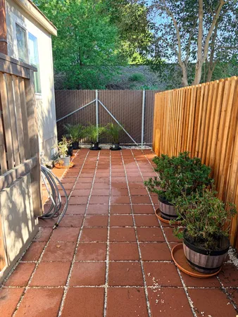 a garden view