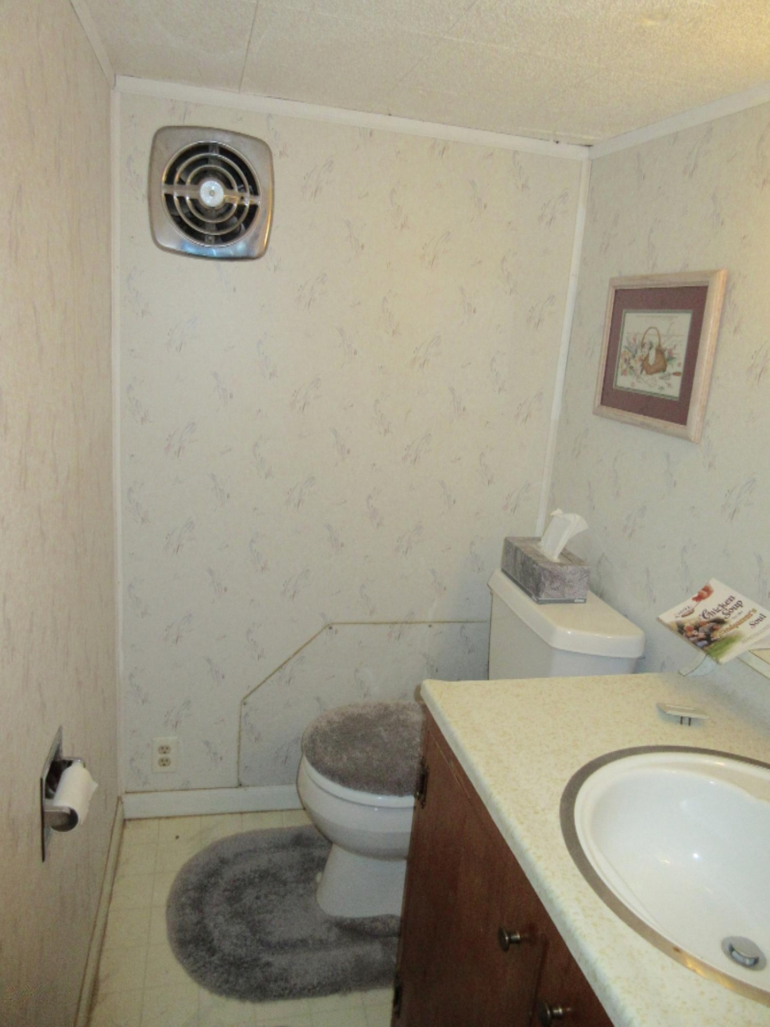 645 East Sidney Road Stanton, MI 48888 - Photo 12 of 25 IMG_1239