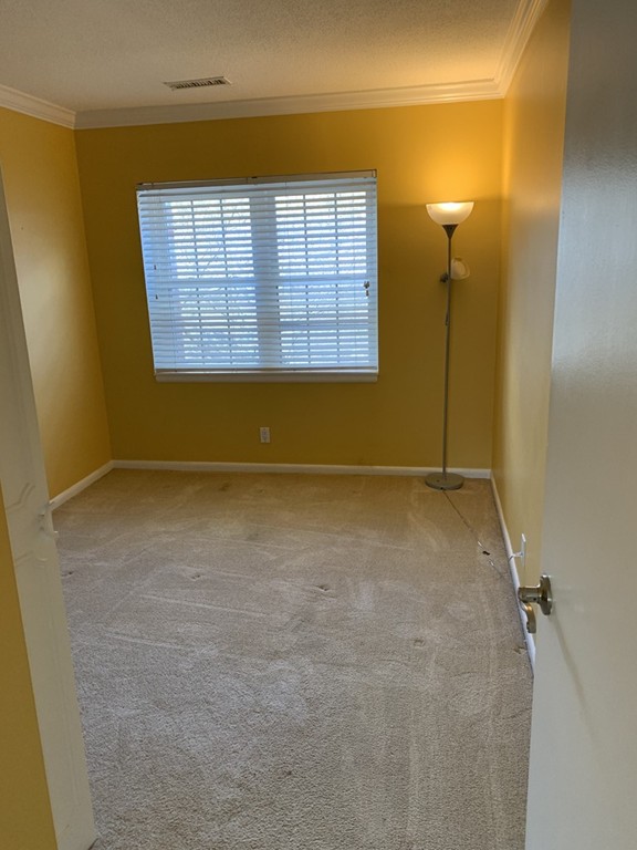 133 Lake Shore Road, Unit 4 Boston, MA 02135 - Photo 8 of 12