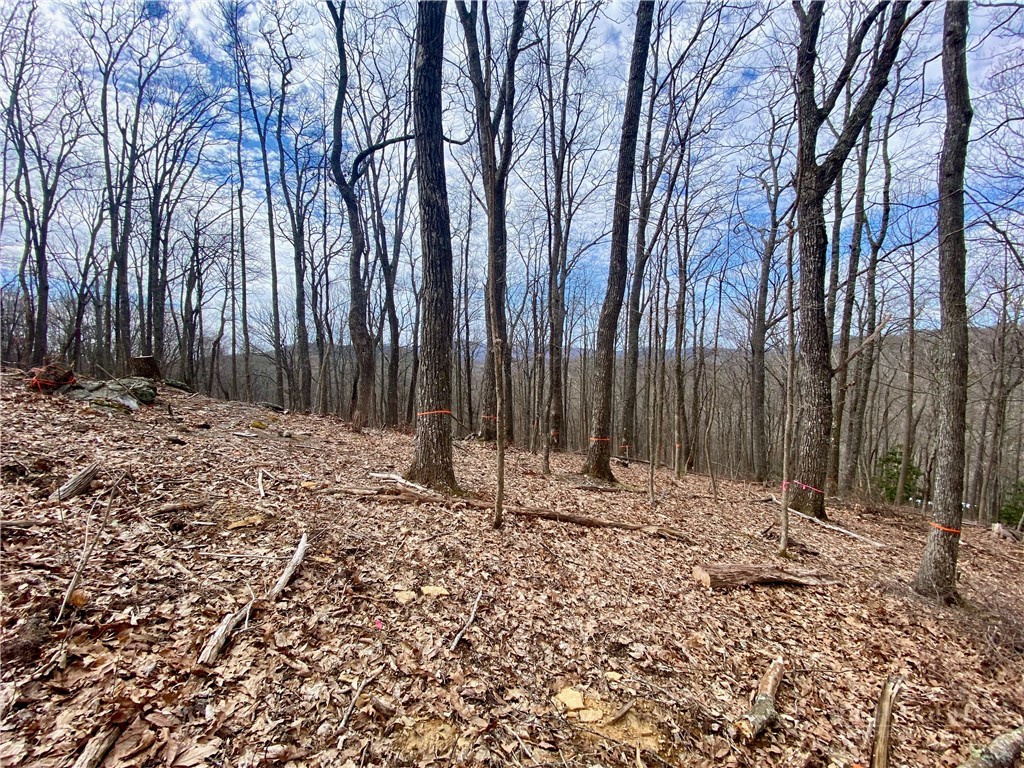Old Chestnut Mountain Road Newland, NC 28657 - Photo 12 of 33