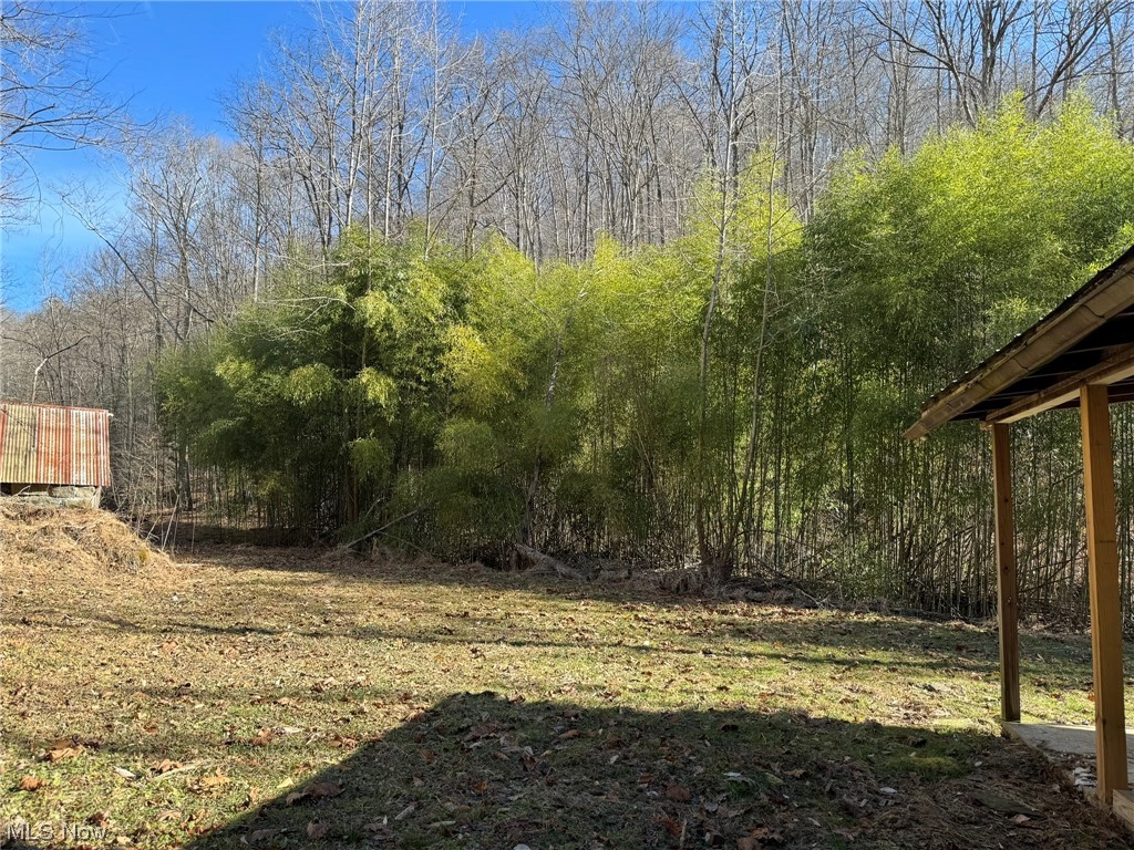 981 Jacobs Road Grantsville, WV 26147 - Photo 9 of 35