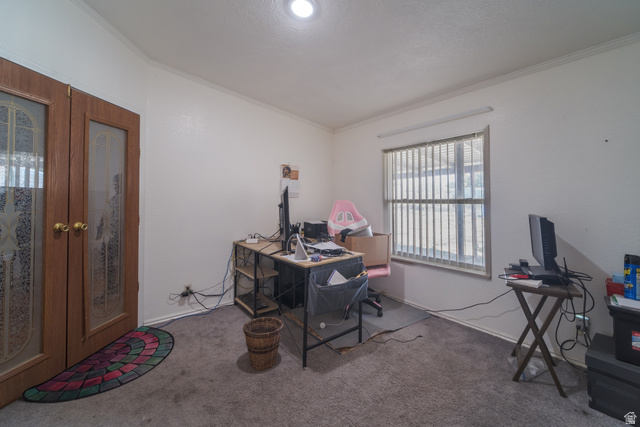 445 South Main Street Fayette, UT 84630 - Photo 28 of 45 Carpeted home office featuring french doors and ornamental molding