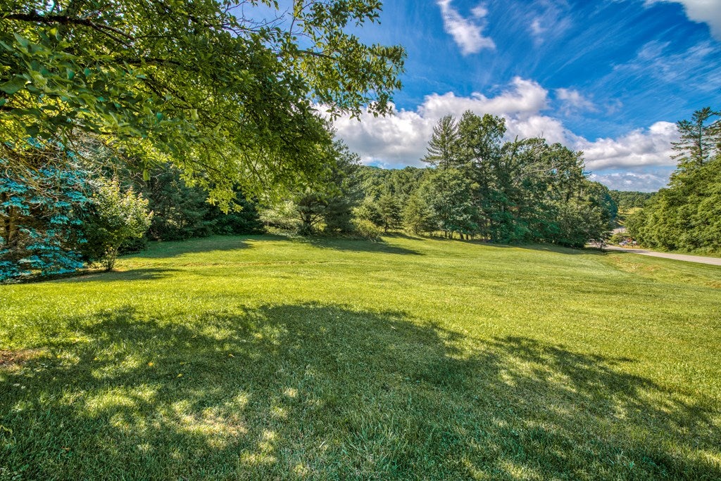 35120 Widener Valley Road Damascus, VA 24236 - Photo 4 of 23 Gallery Image 4