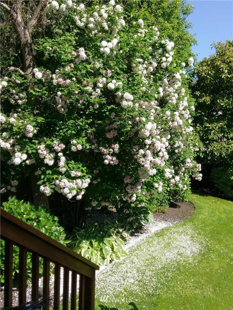556 North 66th Street Seattle, WA 98103 - Photo 28 of 33 Gallery Image 28
