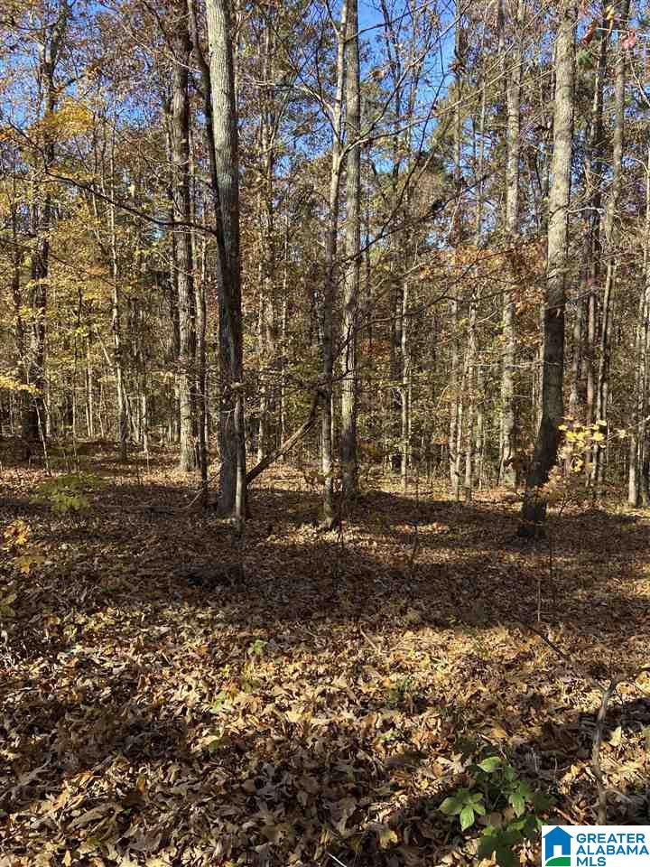 Rosser Lane, Unit 1 Bessemer, AL 35022 - Photo 4 of 5