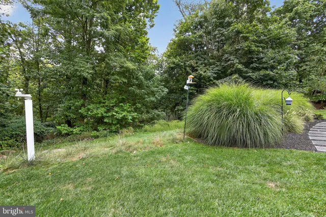 a view of a house with a backyard and plants