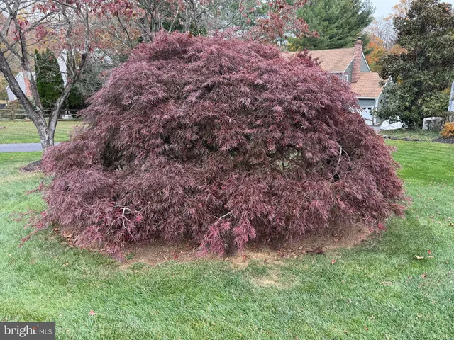 a view of entryway and hall