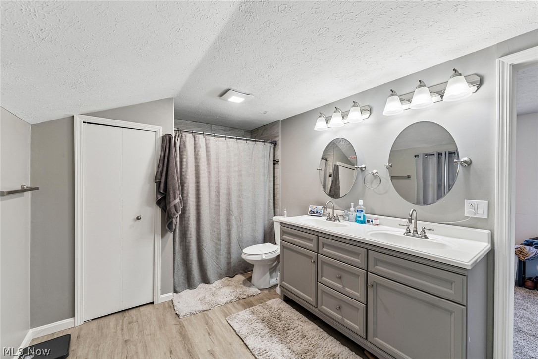 6711 Norwalk Road Medina, OH 44256 - Photo 17 of 46 Primary full bathroom with dual sinks, vanity, decorative lighting, commode and LVt flooring
