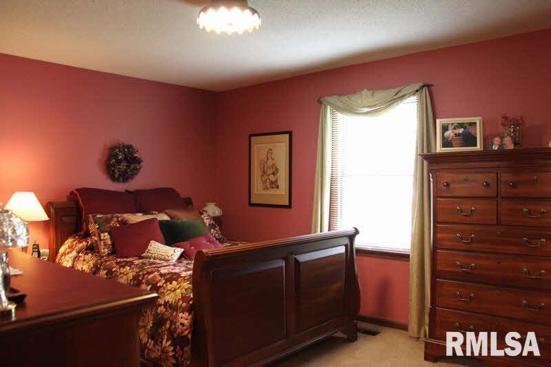 2190 North Reed Station Road Carbondale, IL 62901 - Photo 8 of 22