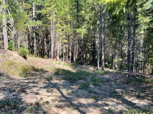 8000 Thompson Creek Road Williams, OR 97544 - Photo 6 of 10 a view of outdoor space with trees