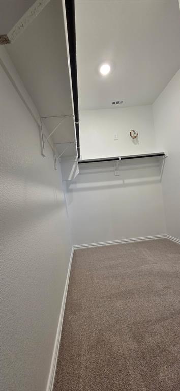 1733 Arches Road Anna, TX 75409 - Photo 15 of 17 a view of a small space