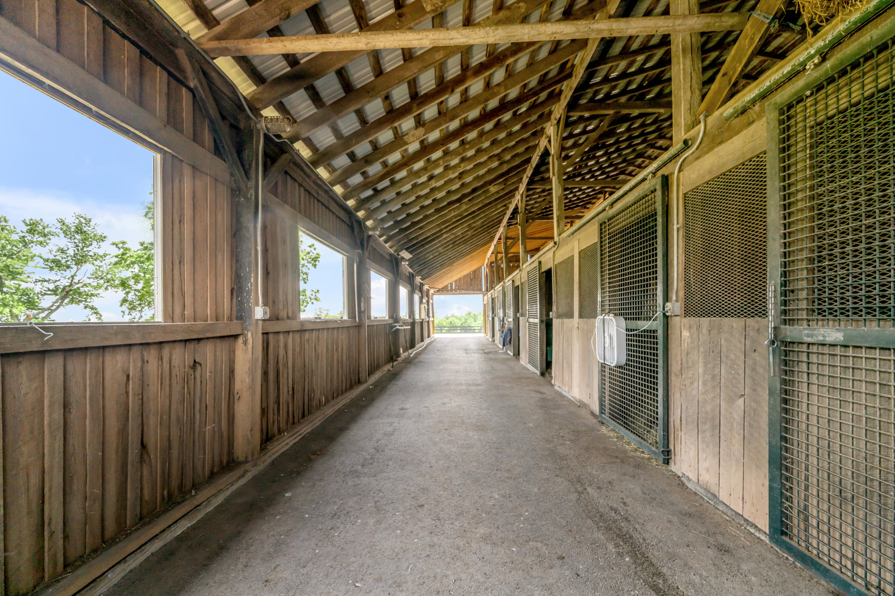 255 Shryocks Ferry Road Versailles, KY 40383 - Photo 73 of 91 TDB_7924