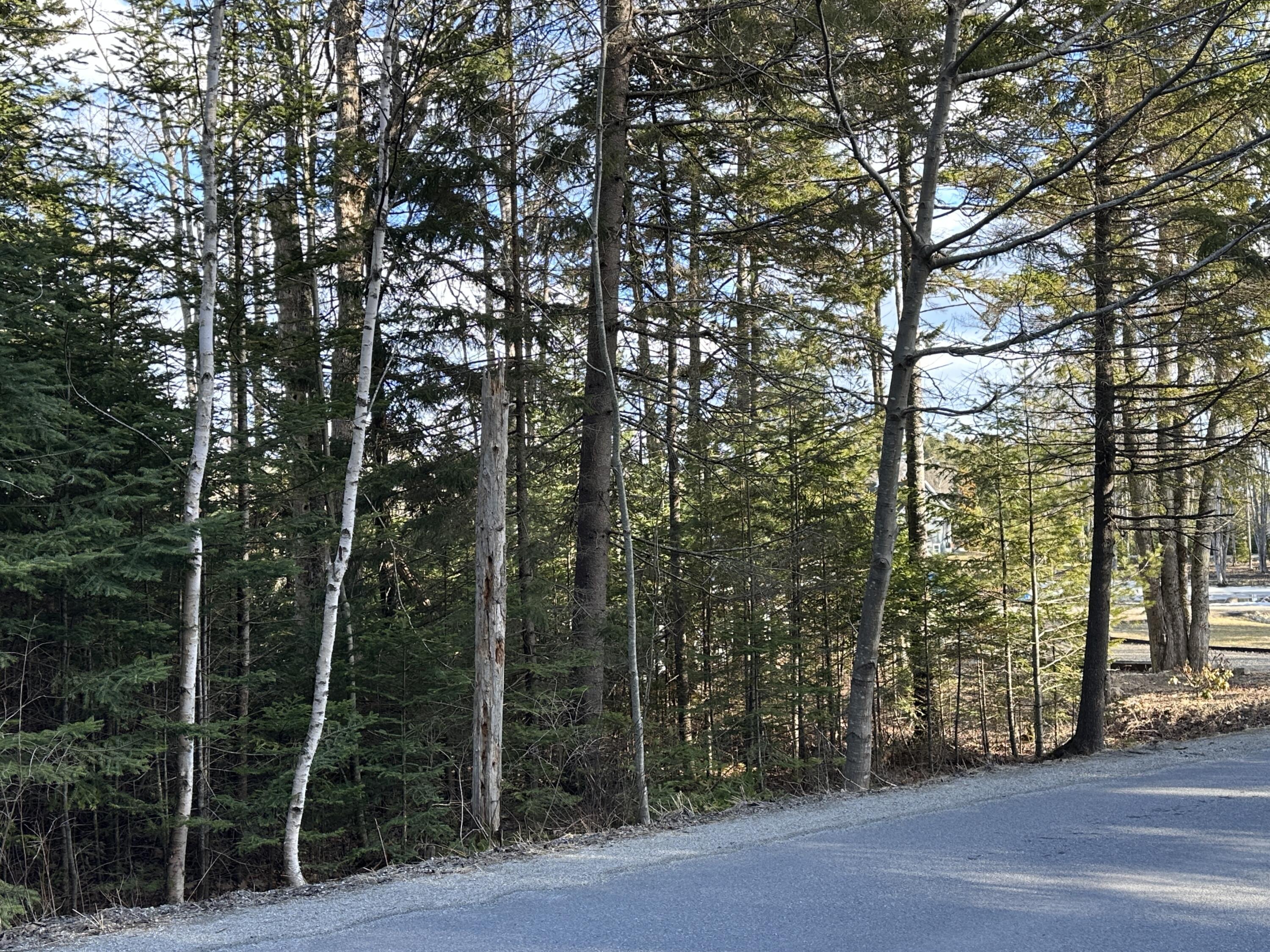 50 Cline Road St. George, ME 04859 - Photo 14 of 21 13